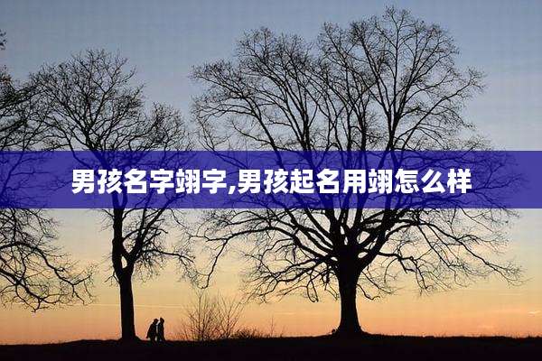 男孩名字翊字,男孩起名用翊怎么样