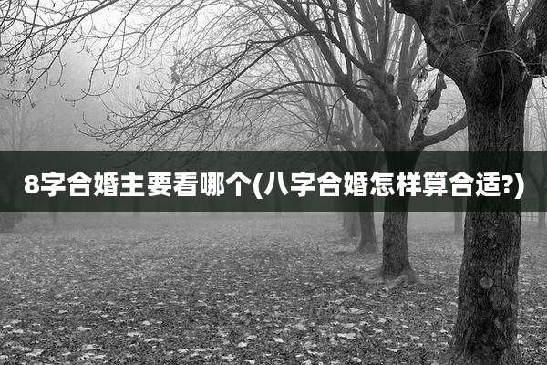 8字合婚主要看哪个(八字合婚怎样算合适?)