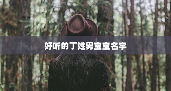 好听的丁姓男宝宝名字