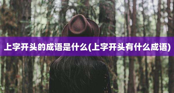 上字开头的成语是什么(上字开头有什么成语)