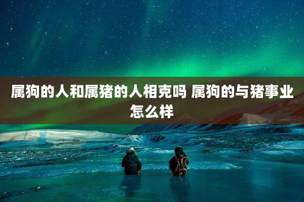属狗的人和属猪的人相克吗 属狗的与猪事业怎么样