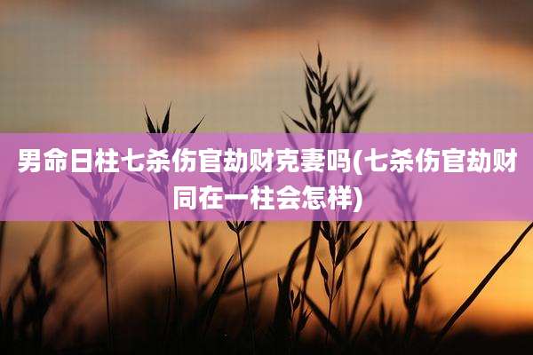 男命日柱七杀伤官劫财克妻吗(七杀伤官劫财同在一柱会怎样)