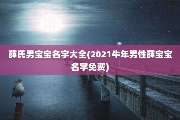 薛氏男宝宝名字大全(2021牛年男性薛宝宝名字免费)