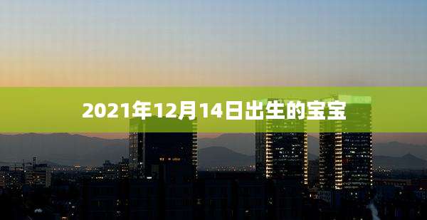 2021年12月14日出生的宝宝