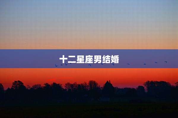 十二星座男结婚