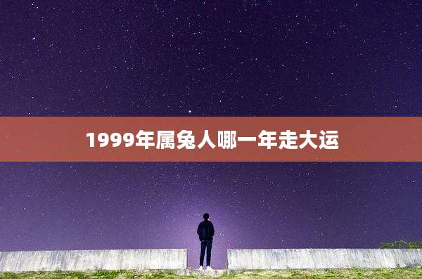 1999年属兔人哪一年走大运
