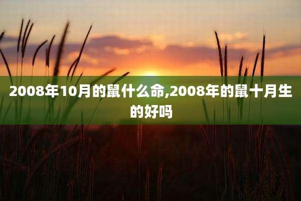 2008年10月的鼠什么命,2008年的鼠十月生的好吗