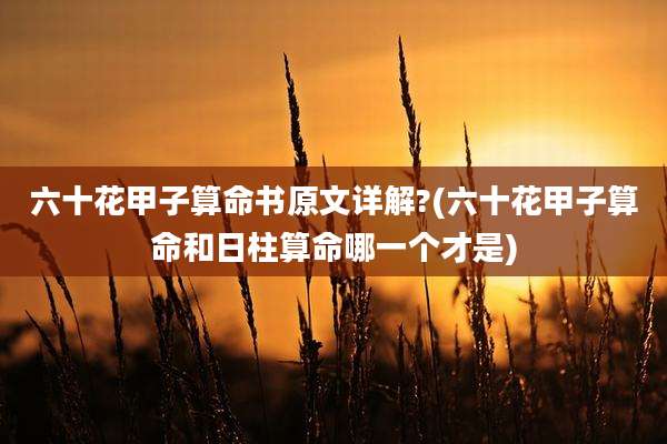 六十花甲子算命书原文详解?(六十花甲子算命和日柱算命哪一个才是)