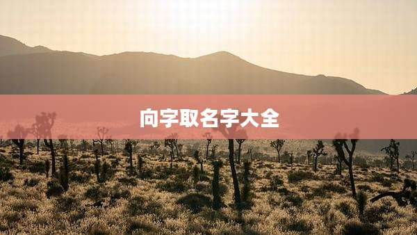 向字取名字大全