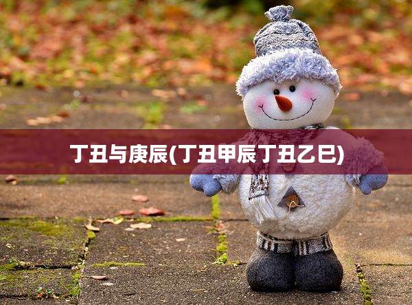 丁丑与庚辰(丁丑甲辰丁丑乙巳)