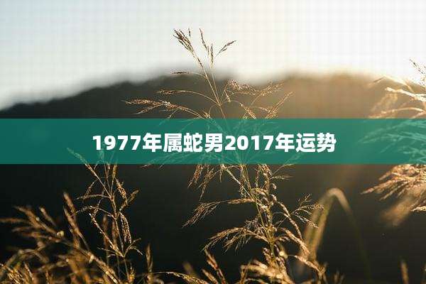 1977年属蛇男2017年运势