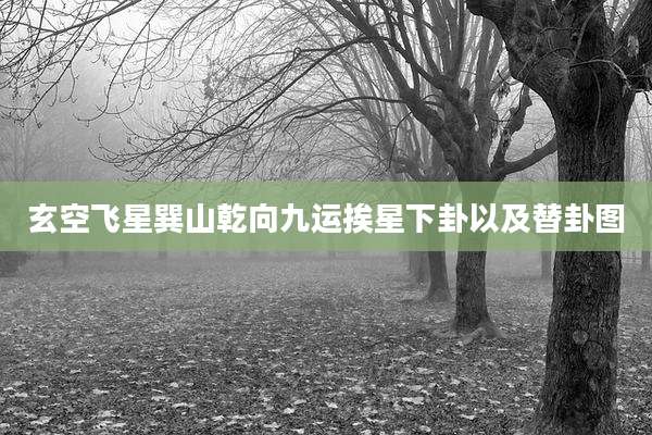 玄空飞星巽山乾向九运挨星下卦以及替卦图