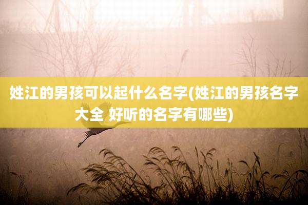 姓江的男孩可以起什么名字(姓江的男孩名字大全 好听的名字有哪些)