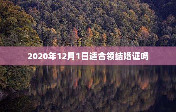 2020年12月1日适合领结婚证吗