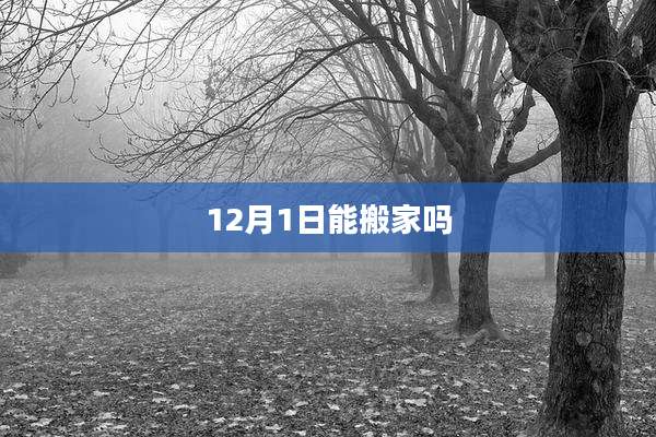 12月1日能搬家吗
