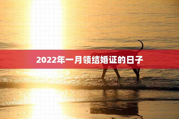 2022年一月领结婚证的日子