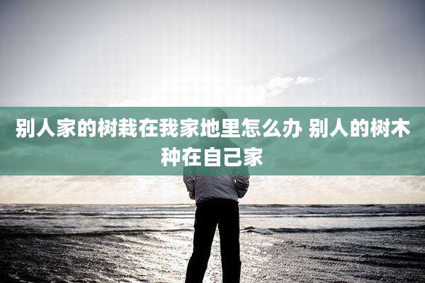 别人家的树栽在我家地里怎么办 别人的树木种在自己家