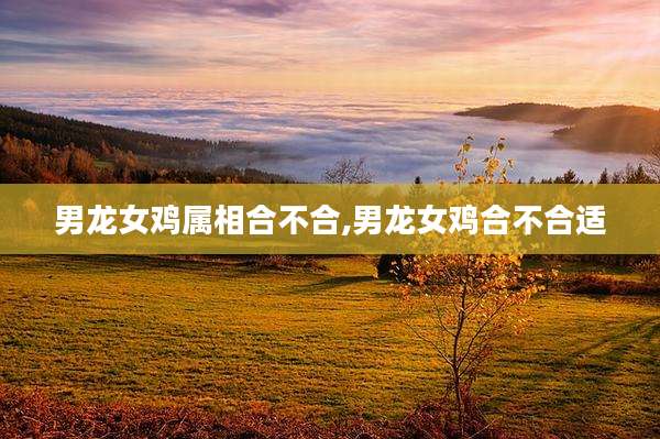 男龙女鸡属相合不合,男龙女鸡合不合适