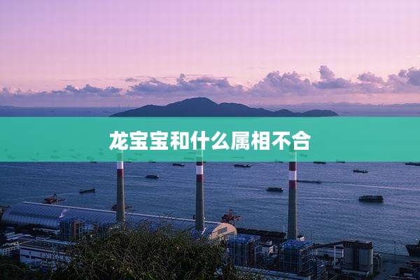 龙宝宝和什么属相不合