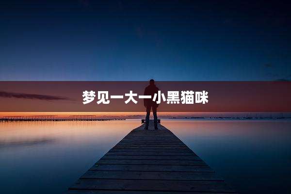 梦见一大一小黑猫咪