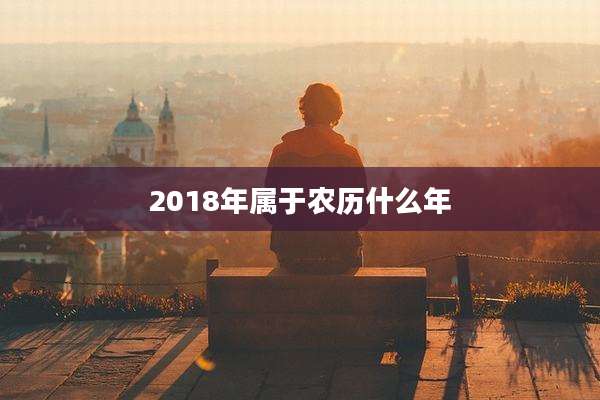 2018年属于农历什么年