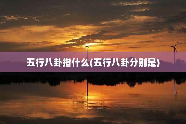 五行八卦指什么(五行八卦分别是)
