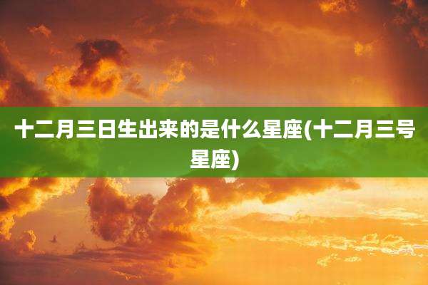 十二月三日生出来的是什么星座(十二月三号星座)