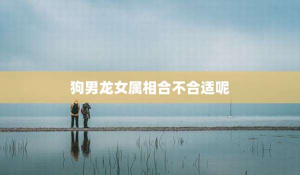 狗男龙女属相合不合适呢