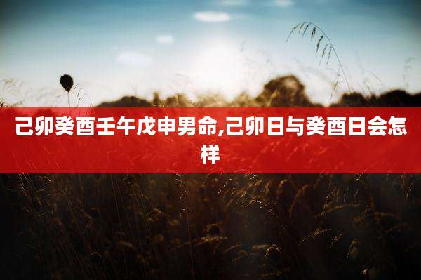 己卯癸酉壬午戊申男命,己卯日与癸酉日会怎样