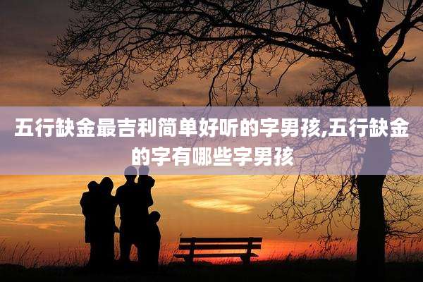 五行缺金最吉利简单好听的字男孩,五行缺金的字有哪些字男孩