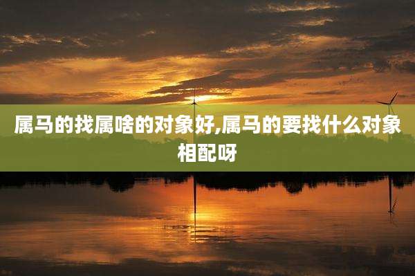 属马的找属啥的对象好,属马的要找什么对象相配呀