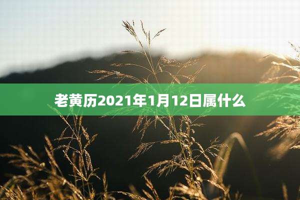 老黄历2021年1月12日属什么