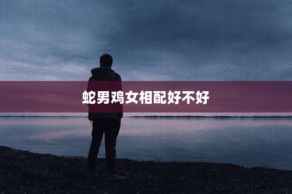 蛇男鸡女相配好不好