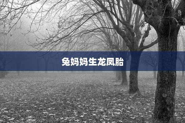 兔妈妈生龙凤胎