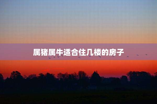 属猪属牛适合住几楼的房子