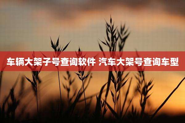 车辆大架子号查询软件 汽车大架号查询车型