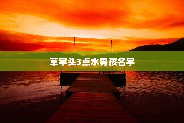 草字头3点水男孩名字