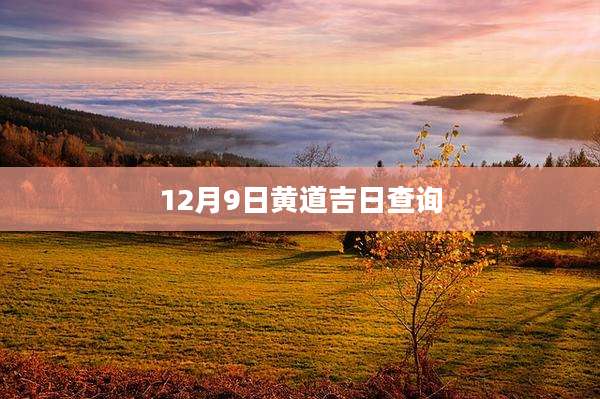 12月9日黄道吉日查询