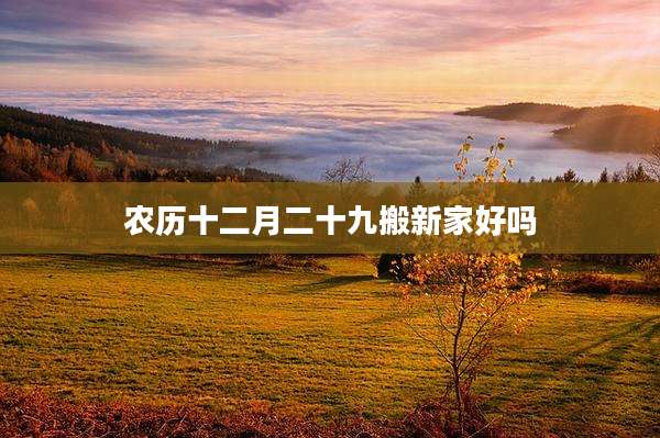 农历十二月二十九搬新家好吗