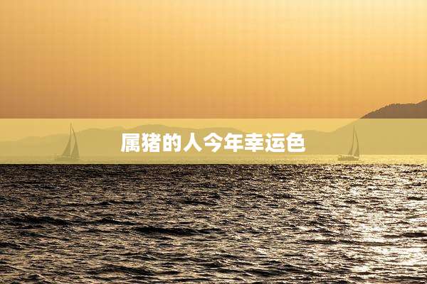 属猪的人今年幸运色