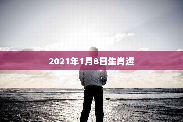 2021年1月8日生肖运