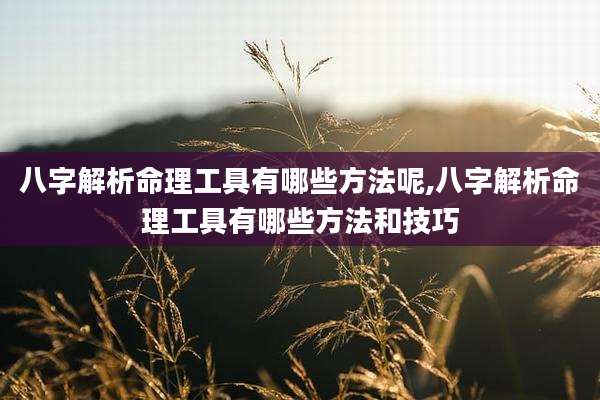 八字解析命理工具有哪些方法呢,八字解析命理工具有哪些方法和技巧