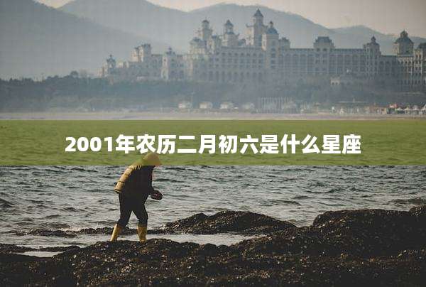 2001年农历二月初六是什么星座