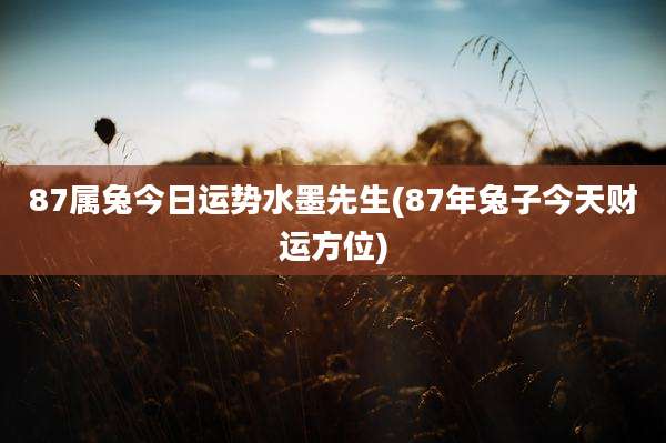 87属兔今日运势水墨先生(87年兔子今天财运方位)