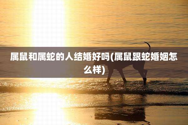 属鼠和属蛇的人结婚好吗(属鼠跟蛇婚姻怎么样)