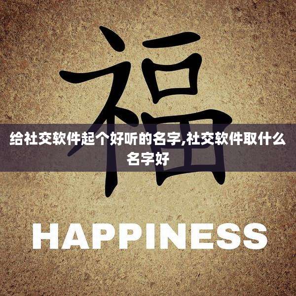 给社交软件起个好听的名字,社交软件取什么名字好