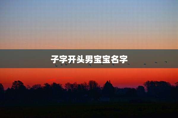 子字开头男宝宝名字