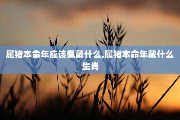 属猪本命年应该佩戴什么,属猪本命年戴什么生肖