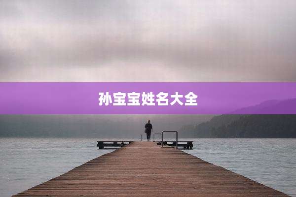 孙宝宝姓名大全