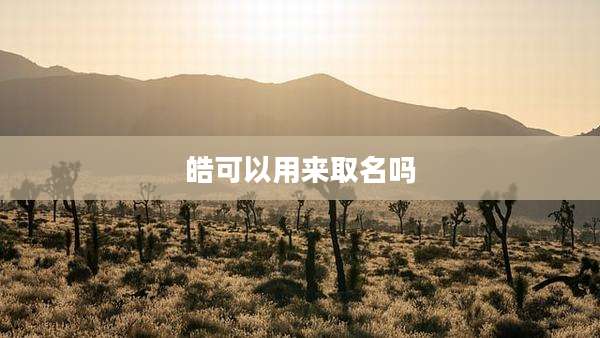 皓可以用来取名吗